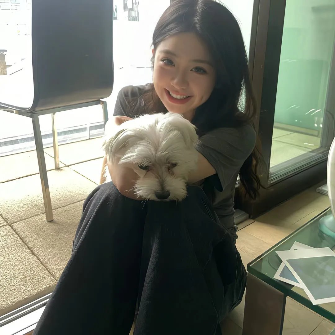 鸡毛信